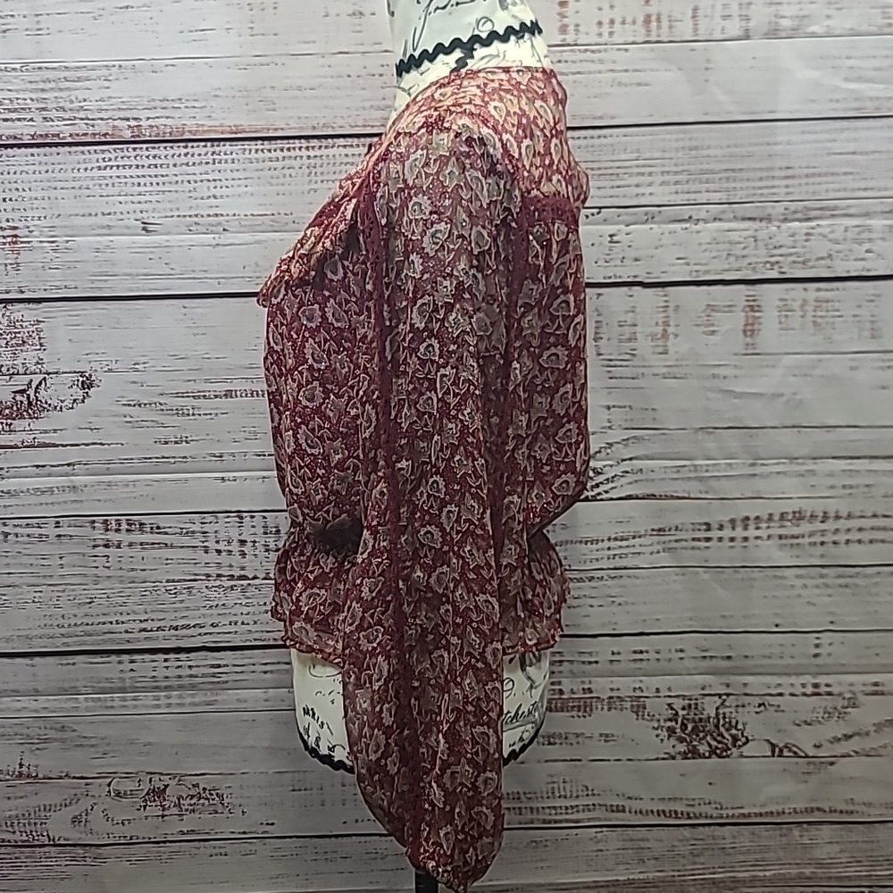 American Eagle sheer ruffle blouse - Picture 5 of 10